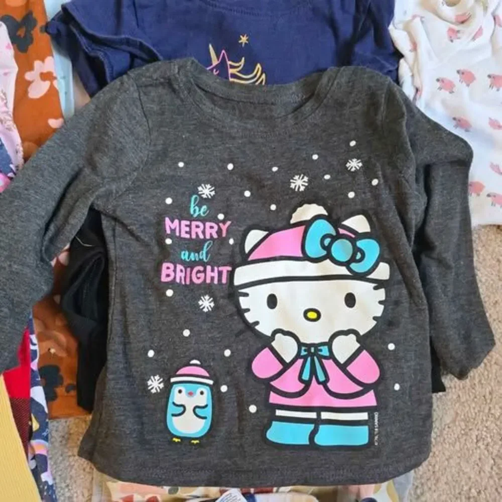 18 month girl toddler clothes bundle 30+ pieces
